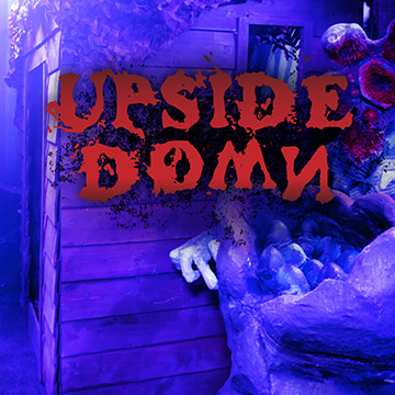 Upside Down - Image 119